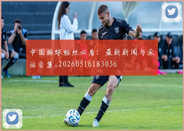 中国排球粉丝必看：最新新闻与采访合集_20260516183036