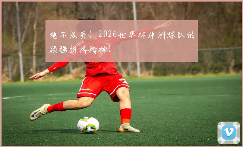 绝不放弃！2026世界杯非洲球队的顽强拼搏精神！
