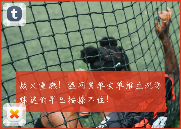 战火重燃！温网男单女单谁主沉浮球迷们早已按捺不住！